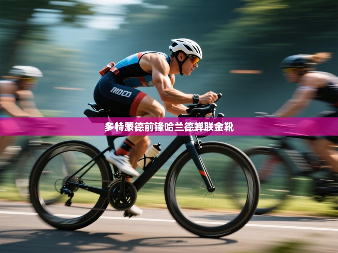 多特蒙德前锋哈兰德蝉联金靴  第1张