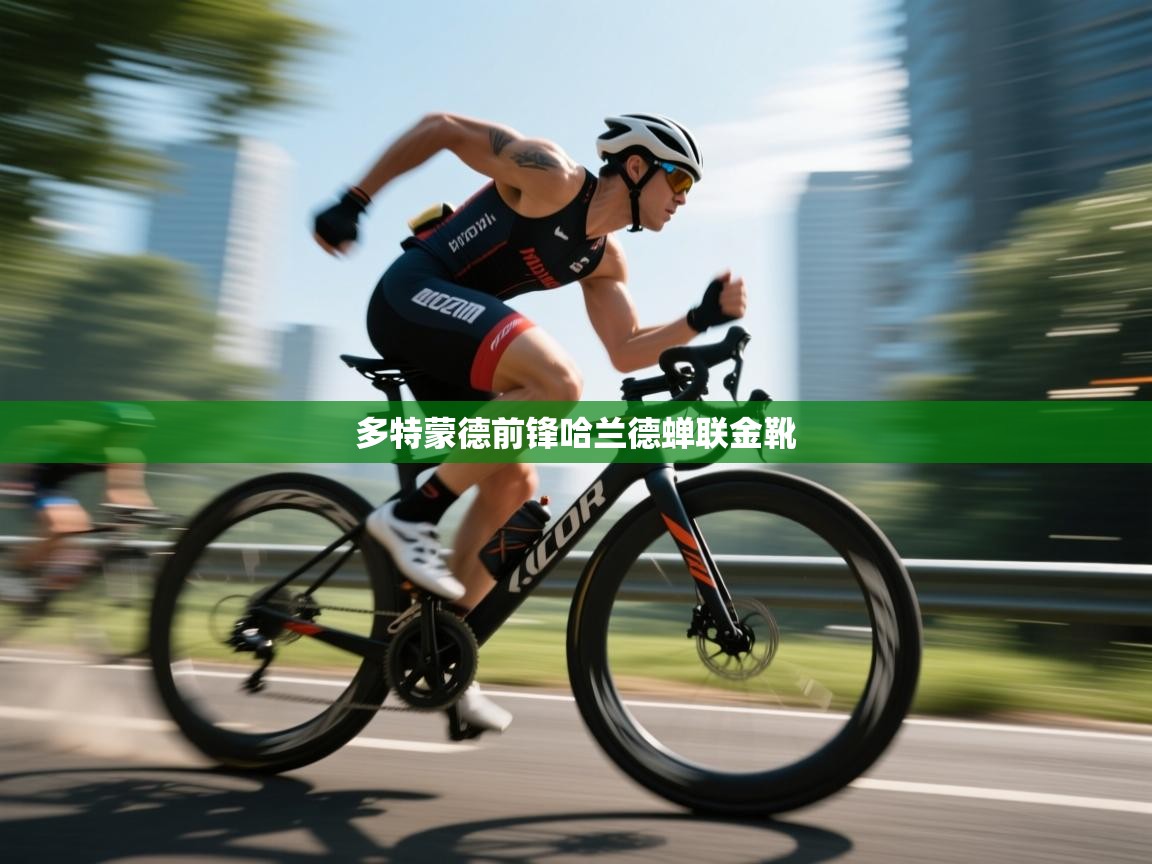 多特蒙德前锋哈兰德蝉联金靴  第2张