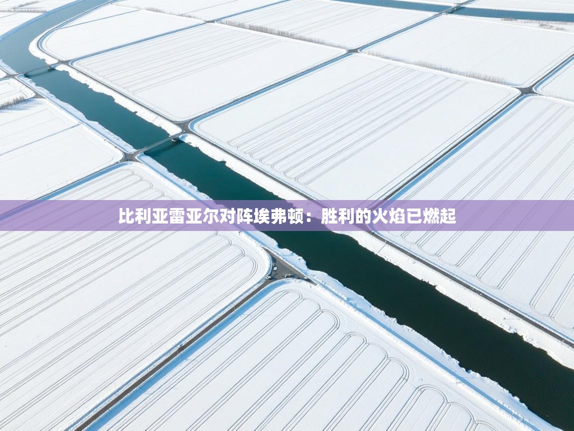 比利亚雷亚尔对阵埃弗顿：胜利的火焰已燃起  第1张