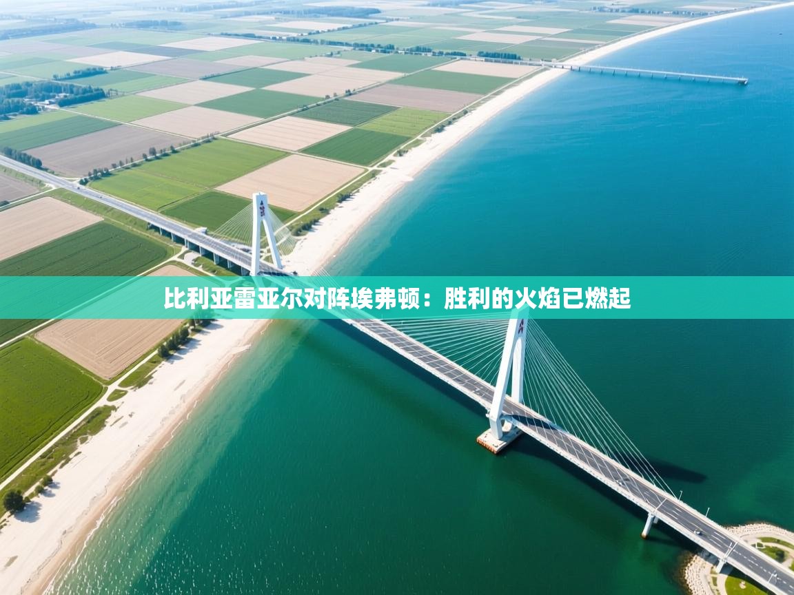 比利亚雷亚尔对阵埃弗顿：胜利的火焰已燃起  第2张