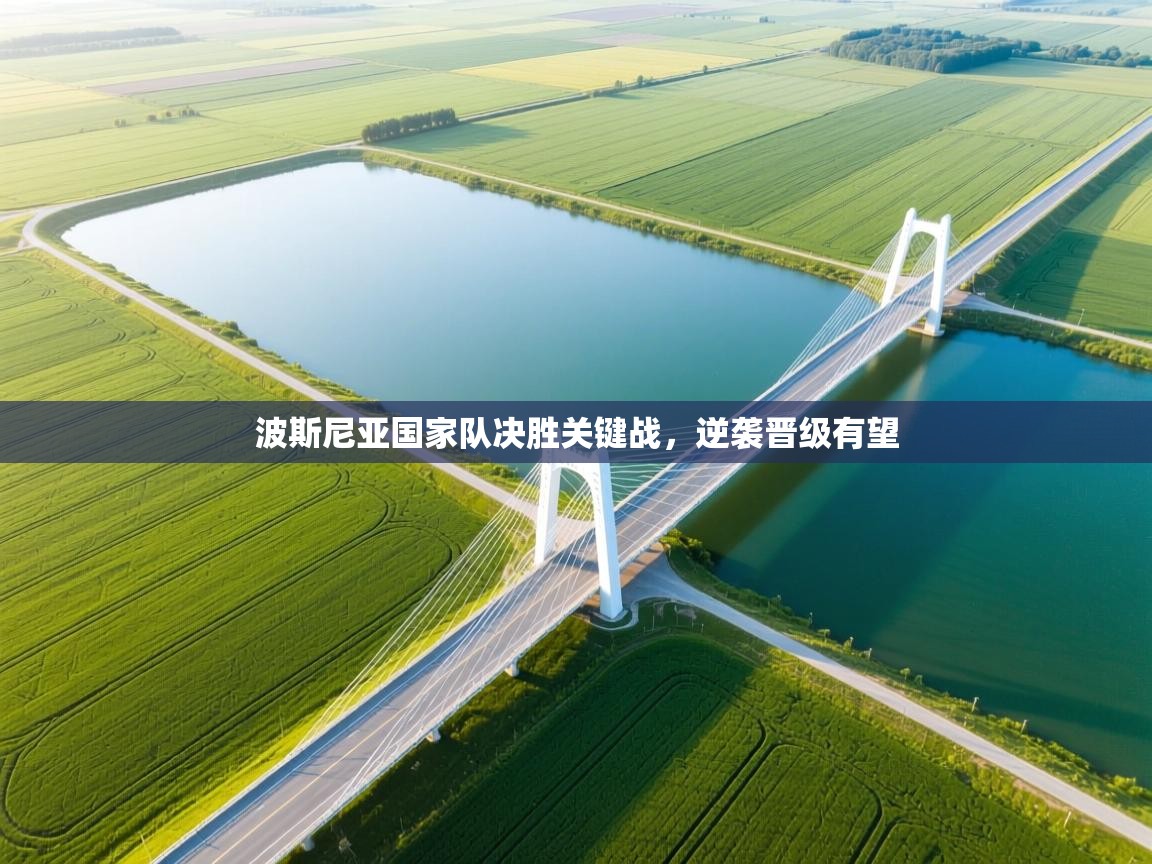 波斯尼亚国家队决胜关键战，逆袭晋级有望  第2张