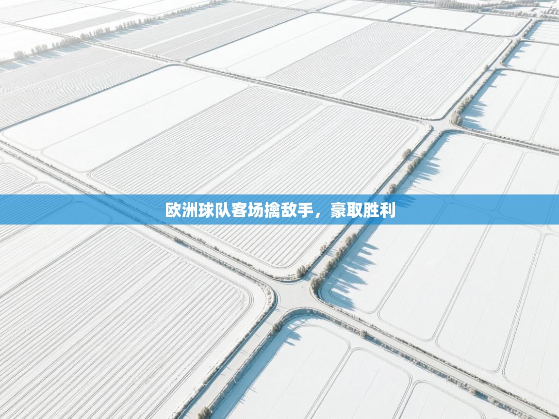 欧洲球队客场擒敌手，豪取胜利  第1张