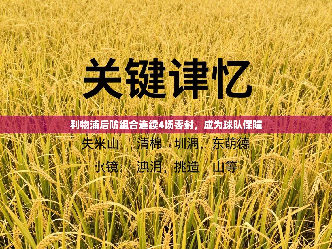 利物浦后防组合连续4场零封，成为球队保障  第1张