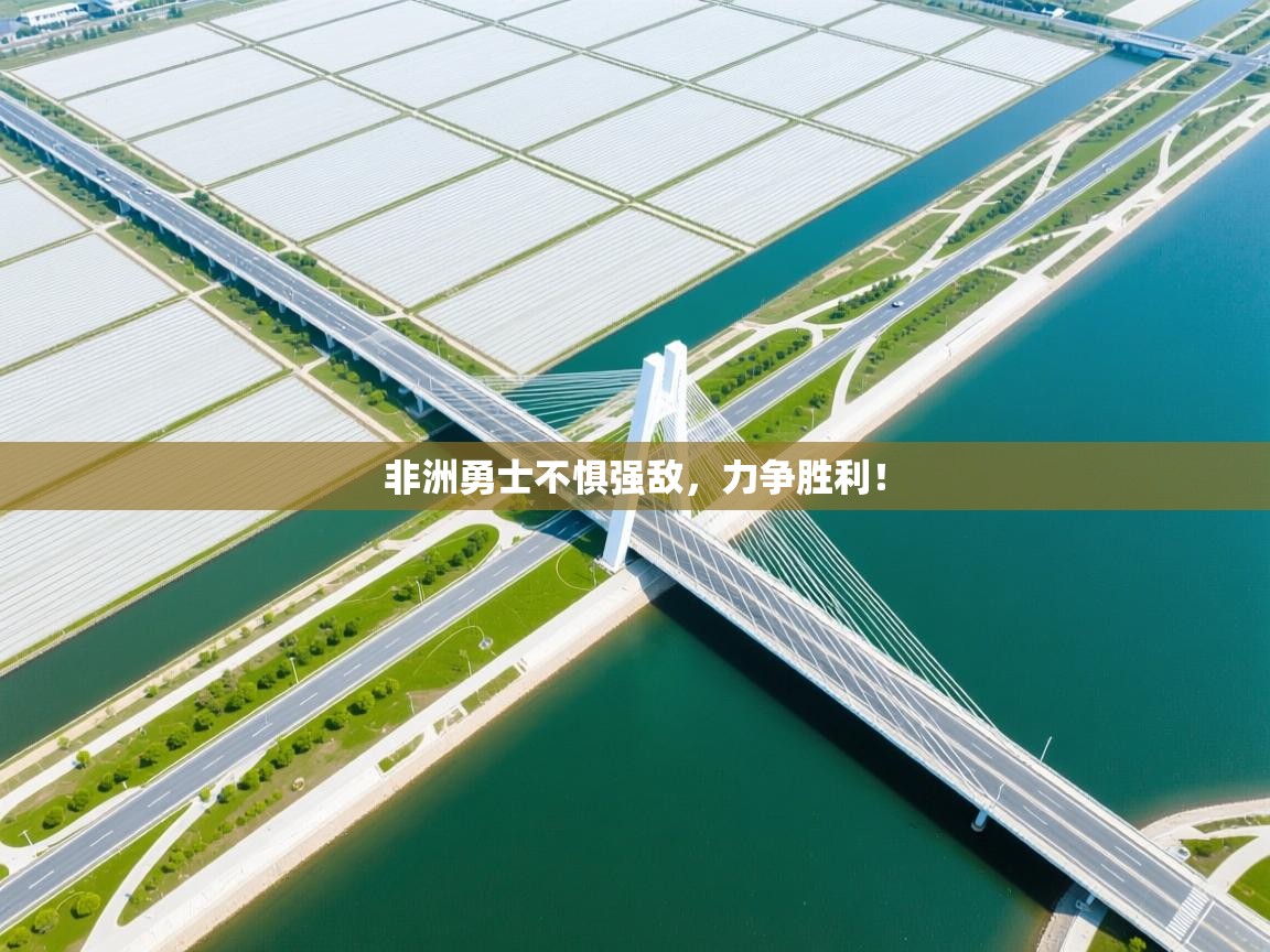 非洲勇士不惧强敌,力争胜利! 第1张