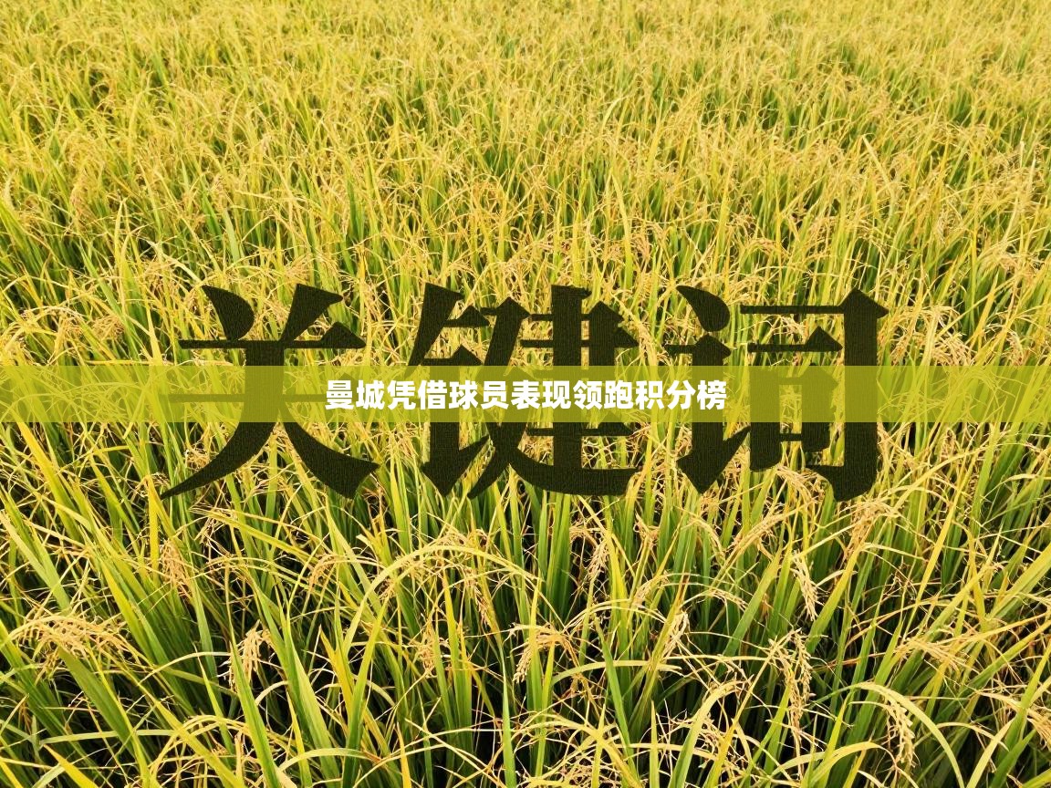 曼城凭借球员表现领跑积分榜  第2张