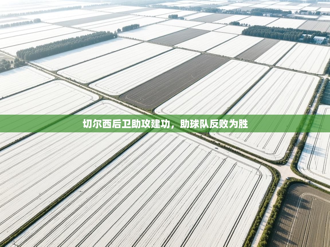 切尔西后卫助攻建功,助球队反败为胜 第2张